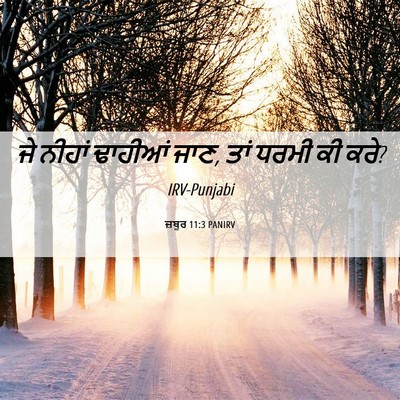 Picture 06 - ਜ਼ਬੂਰ 11:3 PANIRV - ਜੇ ਨੀਹਾਂ ਢਾਹੀਆਂ - Bible Verse Picture