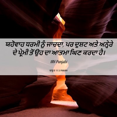 Picture 06 - ਜ਼ਬੂਰ 11:5 PANIRV - ਯਹੋਵਾਹ ਧਰਮੀ ਨੂੰ - Bible Verse Picture