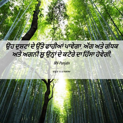 Picture 06 - ਜ਼ਬੂਰ 11:6 PANIRV - ਉਹ ਦੁਸ਼ਟਾਂ ਦੇ ਉੱਤੇ - Bible Verse Picture
