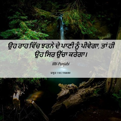 Picture 06 - ਜ਼ਬੂਰ 110:7 PANIRV - ਉਹ ਰਾਹ ਵਿੱਚ ਝਰਨੇ ਦੇ - Bible Verse Picture