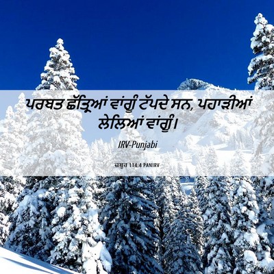 Picture 06 - ਜ਼ਬੂਰ 114:4 PANIRV - ਪਰਬਤ ਛੱਤ੍ਰਿਆਂ - Bible Verse Picture