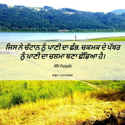 Picture 06 - ਜ਼ਬੂਰ 114:8 PANIRV - ਜਿਸ ਨੇ ਚੱਟਾਨ ਨੂੰ - Bible Verse Picture