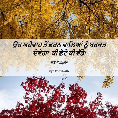 Picture 06 - ਜ਼ਬੂਰ 115:13 PANIRV - ਉਹ ਯਹੋਵਾਹ ਤੋਂ ਡਰਨ - Bible Verse Picture