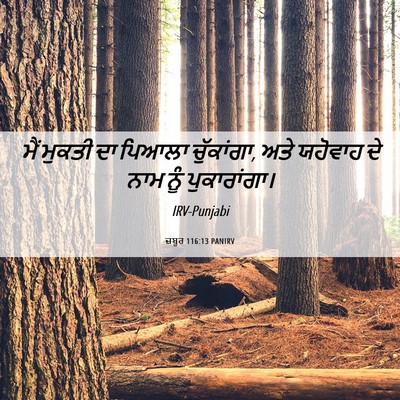 Picture 06 - ਜ਼ਬੂਰ 116:13 PANIRV - ਮੈਂ ਮੁਕਤੀ ਦਾ ਪਿਆਲਾ - Bible Verse Picture
