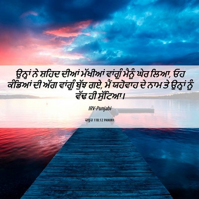 Picture 06 - ਜ਼ਬੂਰ 118:12 PANIRV - ਉਨ੍ਹਾਂ ਨੇ ਸ਼ਹਿਦ - Bible Verse Picture