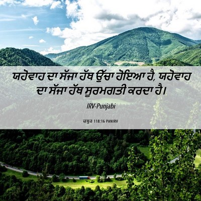 Picture 06 - ਜ਼ਬੂਰ 118:16 PANIRV - ਯਹੋਵਾਹ ਦਾ ਸੱਜਾ ਹੱਥ - Bible Verse Picture