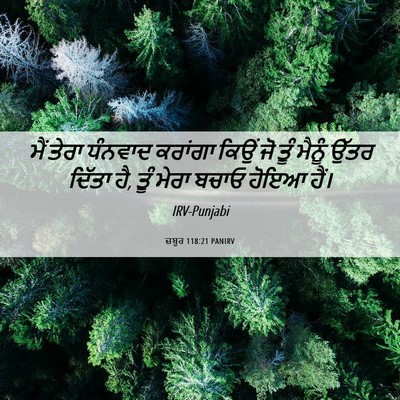 Picture 06 - ਜ਼ਬੂਰ 118:21 PANIRV - ਮੈਂ ਤੇਰਾ ਧੰਨਵਾਦ - Bible Verse Picture
