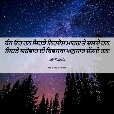 Picture 06 - ਜ਼ਬੂਰ 119:1 PANIRV - ਧੰਨ ਓਹ ਹਨ ਜਿਹੜੇ - Bible Verse Picture