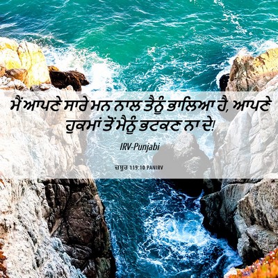 Picture 06 - ਜ਼ਬੂਰ 119:10 PANIRV - ਮੈਂ ਆਪਣੇ ਸਾਰੇ ਮਨ - Bible Verse Picture