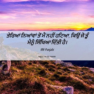 Picture 06 - ਜ਼ਬੂਰ 119:102 PANIRV - ਤੇਰਿਆਂ ਨਿਆਂਵਾਂ - Bible Verse Picture