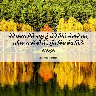 Picture 06 - ਜ਼ਬੂਰ 119:103 PANIRV - ਤੇਰੇ ਬਚਨ ਮੇਰੇ ਤਾਲੂ - Bible Verse Picture