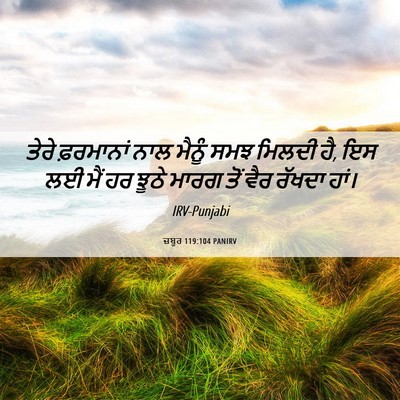 Picture 06 - ਜ਼ਬੂਰ 119:104 PANIRV - ਤੇਰੇ ਫ਼ਰਮਾਨਾਂ ਨਾਲ - Bible Verse Picture