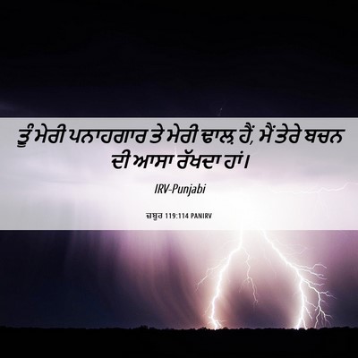 Picture 06 - ਜ਼ਬੂਰ 119:114 PANIRV - ਤੂੰ ਮੇਰੀ ਪਨਾਹਗਾਰ - Bible Verse Picture