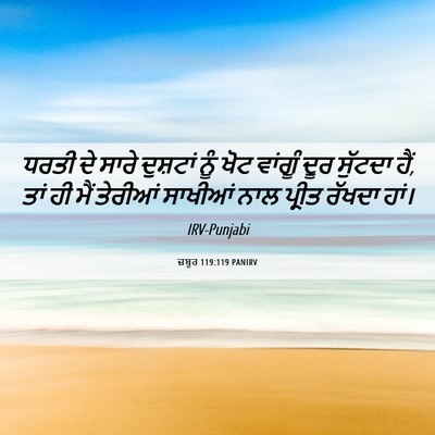 Picture 06 - ਜ਼ਬੂਰ 119:119 PANIRV - ਧਰਤੀ ਦੇ ਸਾਰੇ - Bible Verse Picture