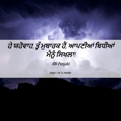 Picture 06 - ਜ਼ਬੂਰ 119:12 PANIRV - ਹੇ ਯਹੋਵਾਹ, ਤੂੰ - Bible Verse Picture