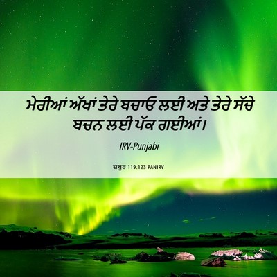 Picture 06 - ਜ਼ਬੂਰ 119:123 PANIRV - ਮੇਰੀਆਂ ਅੱਖਾਂ ਤੇਰੇ - Bible Verse Picture