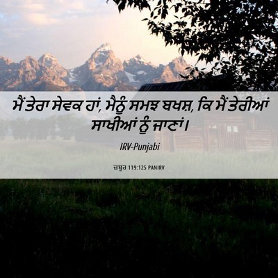 Picture 06 - ਜ਼ਬੂਰ 119:125 PANIRV - ਮੈਂ ਤੇਰਾ ਸੇਵਕ ਹਾਂ, - Bible Verse Picture
