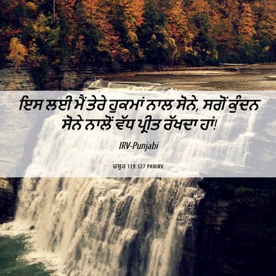Picture 06 - ਜ਼ਬੂਰ 119:127 PANIRV - ਇਸ ਲਈ ਮੈਂ ਤੇਰੇ - Bible Verse Picture