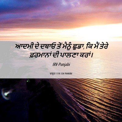 Picture 06 - ਜ਼ਬੂਰ 119:134 PANIRV - ਆਦਮੀ ਦੇ ਦਬਾਓ ਤੋਂ - Bible Verse Picture