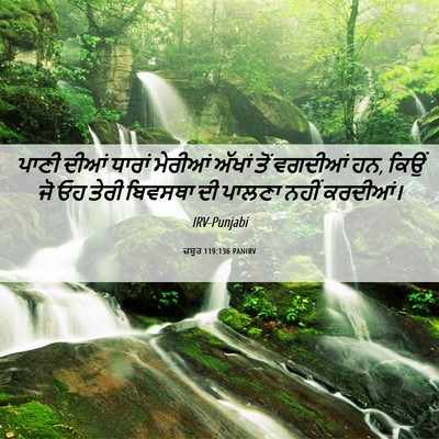 Picture 06 - ਜ਼ਬੂਰ 119:136 PANIRV - ਪਾਣੀ ਦੀਆਂ ਧਾਰਾਂ - Bible Verse Picture