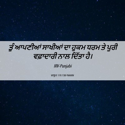 Picture 06 - ਜ਼ਬੂਰ 119:138 PANIRV - ਤੂੰ ਆਪਣੀਆਂ ਸਾਖੀਆਂ - Bible Verse Picture