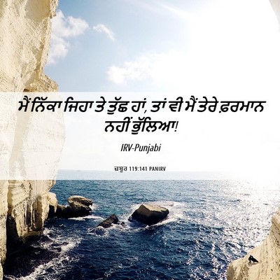 Picture 06 - ਜ਼ਬੂਰ 119:141 PANIRV - ਮੈਂ ਨਿੱਕਾ ਜਿਹਾ ਤੇ - Bible Verse Picture
