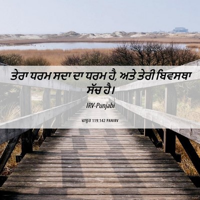Picture 06 - ਜ਼ਬੂਰ 119:142 PANIRV - ਤੇਰਾ ਧਰਮ ਸਦਾ ਦਾ ਧਰਮ - Bible Verse Picture
