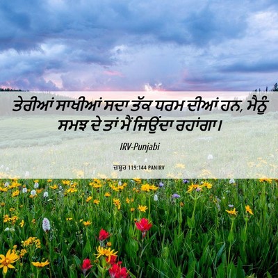 Picture 06 - ਜ਼ਬੂਰ 119:144 PANIRV - ਤੇਰੀਆਂ ਸਾਖੀਆਂ ਸਦਾ - Bible Verse Picture