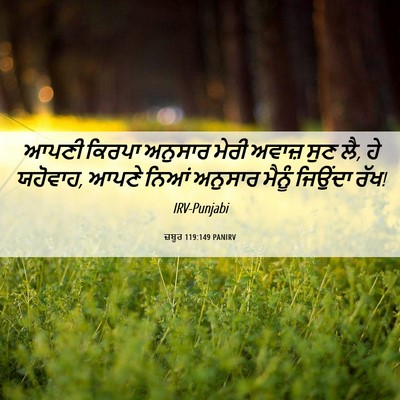 Picture 06 - ਜ਼ਬੂਰ 119:149 PANIRV - ਆਪਣੀ ਕਿਰਪਾ ਅਨੁਸਾਰ - Bible Verse Picture