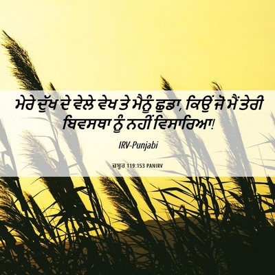 Picture 06 - ਜ਼ਬੂਰ 119:153 PANIRV - ਮੇਰੇ ਦੁੱਖ ਦੇ ਵੇਲੇ - Bible Verse Picture