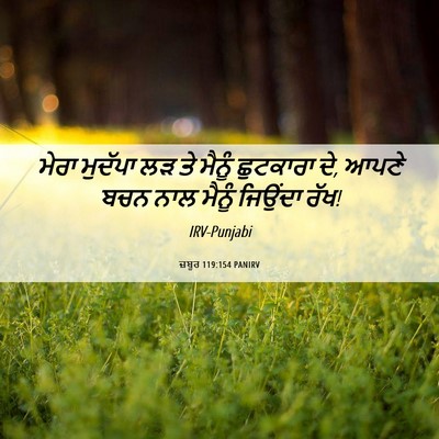 Picture 06 - ਜ਼ਬੂਰ 119:154 PANIRV - ਮੇਰਾ ਮੁਦੱਪਾ ਲੜ ਤੇ - Bible Verse Picture