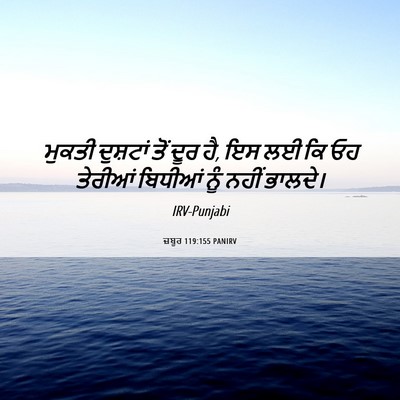 Picture 06 - ਜ਼ਬੂਰ 119:155 PANIRV - ਮੁਕਤੀ ਦੁਸ਼ਟਾਂ ਤੋਂ - Bible Verse Picture