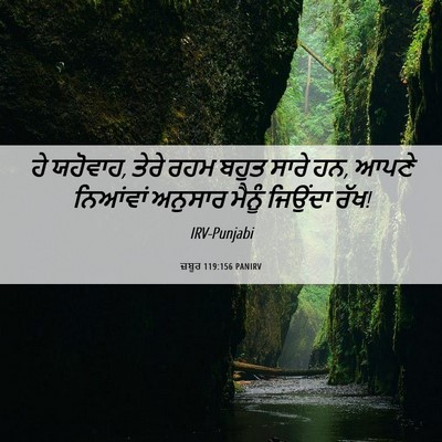 Picture 06 - ਜ਼ਬੂਰ 119:156 PANIRV - ਹੇ ਯਹੋਵਾਹ, ਤੇਰੇ ਰਹਮ - Bible Verse Picture