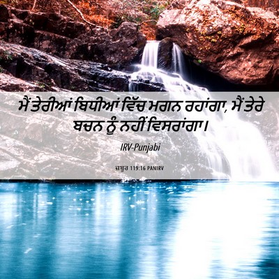 Picture 06 - ਜ਼ਬੂਰ 119:16 PANIRV - ਮੈਂ ਤੇਰੀਆਂ ਬਿਧੀਆਂ - Bible Verse Picture