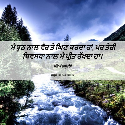 Picture 06 - ਜ਼ਬੂਰ 119:163 PANIRV - ਮੈਂ ਝੂਠ ਨਾਲ ਵੈਰ ਤੇ - Bible Verse Picture