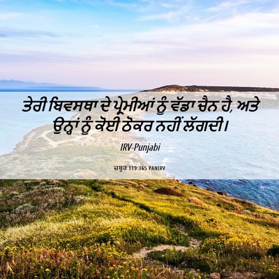 Picture 06 - ਜ਼ਬੂਰ 119:165 PANIRV - ਤੇਰੀ ਬਿਵਸਥਾ ਦੇ - Bible Verse Picture