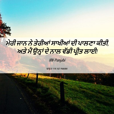 Picture 06 - ਜ਼ਬੂਰ 119:167 PANIRV - ਮੇਰੀ ਜਾਨ ਨੇ ਤੇਰੀਆਂ - Bible Verse Picture