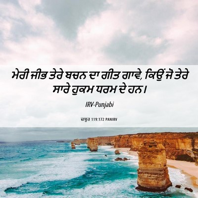 Picture 06 - ਜ਼ਬੂਰ 119:172 PANIRV - ਮੇਰੀ ਜੀਭ ਤੇਰੇ ਬਚਨ - Bible Verse Picture