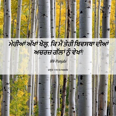 Picture 06 - ਜ਼ਬੂਰ 119:18 PANIRV - ਮੇਰੀਆਂ ਅੱਖਾਂ - Bible Verse Picture
