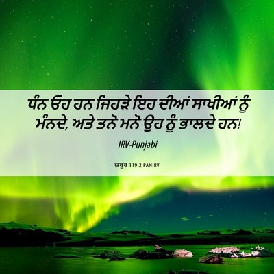 Picture 06 - ਜ਼ਬੂਰ 119:2 PANIRV - ਧੰਨ ਓਹ ਹਨ ਜਿਹੜੇ ਇਹ - Bible Verse Picture