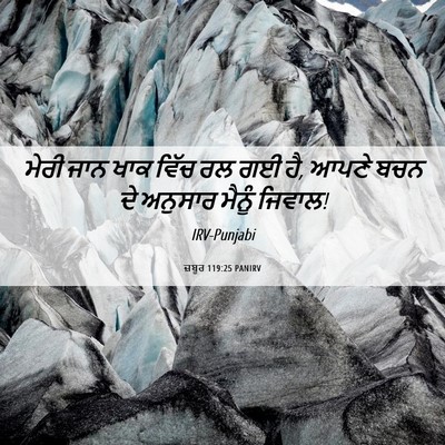 Picture 06 - ਜ਼ਬੂਰ 119:25 PANIRV - ਮੇਰੀ ਜਾਨ ਖਾਕ ਵਿੱਚ - Bible Verse Picture