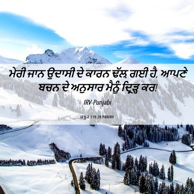 Picture 06 - ਜ਼ਬੂਰ 119:28 PANIRV - ਮੇਰੀ ਜਾਨ ਉਦਾਸੀ ਦੇ - Bible Verse Picture