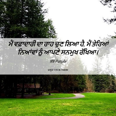 Picture 06 - ਜ਼ਬੂਰ 119:30 PANIRV - ਮੈਂ ਵਫ਼ਾਦਾਰੀ ਦਾ - Bible Verse Picture