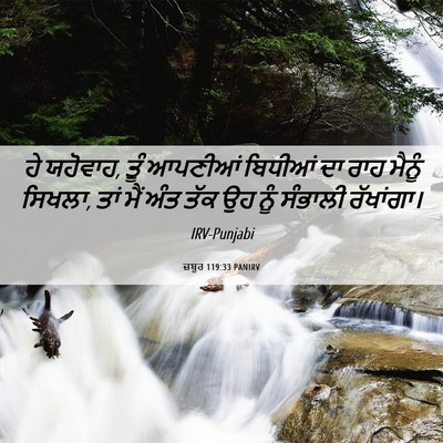 Picture 06 - ਜ਼ਬੂਰ 119:33 PANIRV - ਹੇ ਯਹੋਵਾਹ, ਤੂੰ - Bible Verse Picture