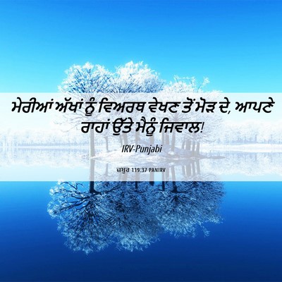 Picture 06 - ਜ਼ਬੂਰ 119:37 PANIRV - ਮੇਰੀਆਂ ਅੱਖਾਂ ਨੂੰ - Bible Verse Picture