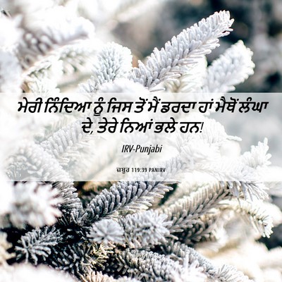 Picture 06 - ਜ਼ਬੂਰ 119:39 PANIRV - ਮੇਰੀ ਨਿੰਦਿਆ ਨੂੰ - Bible Verse Picture