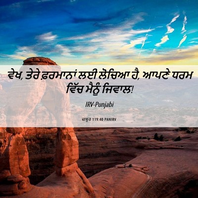 Picture 06 - ਜ਼ਬੂਰ 119:40 PANIRV - ਵੇਖ, ਤੇਰੇ ਫ਼ਰਮਾਨਾਂ - Bible Verse Picture