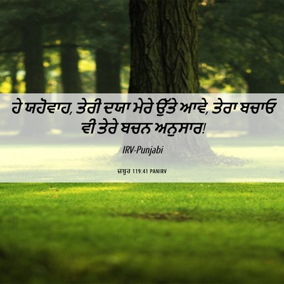 Picture 06 - ਜ਼ਬੂਰ 119:41 PANIRV - ਹੇ ਯਹੋਵਾਹ, ਤੇਰੀ ਦਯਾ - Bible Verse Picture