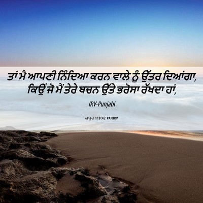 Picture 06 - ਜ਼ਬੂਰ 119:42 PANIRV - ਤਾਂ ਮੈ ਆਪਣੀ ਨਿੰਦਿਆ - Bible Verse Picture