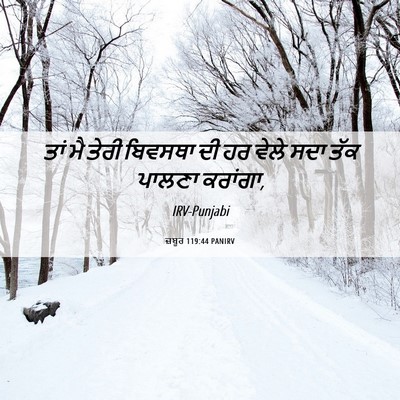 Picture 06 - ਜ਼ਬੂਰ 119:44 PANIRV - ਤਾਂ ਮੈ ਤੇਰੀ ਬਿਵਸਥਾ - Bible Verse Picture